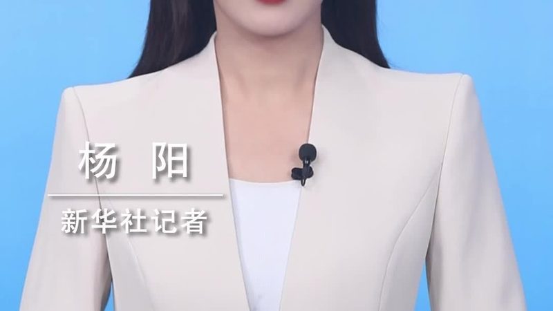 品牌策划：科技公司在数字化浪潮中的战略布局**